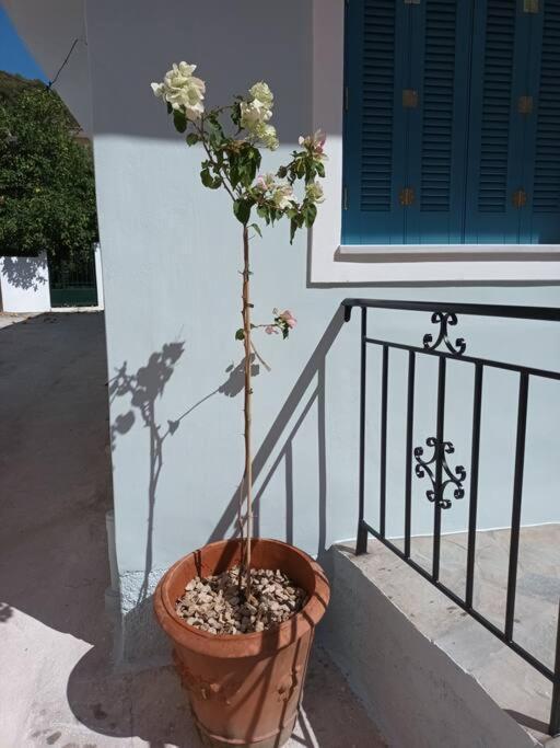 Studio Bella Epidaurus Exterior foto